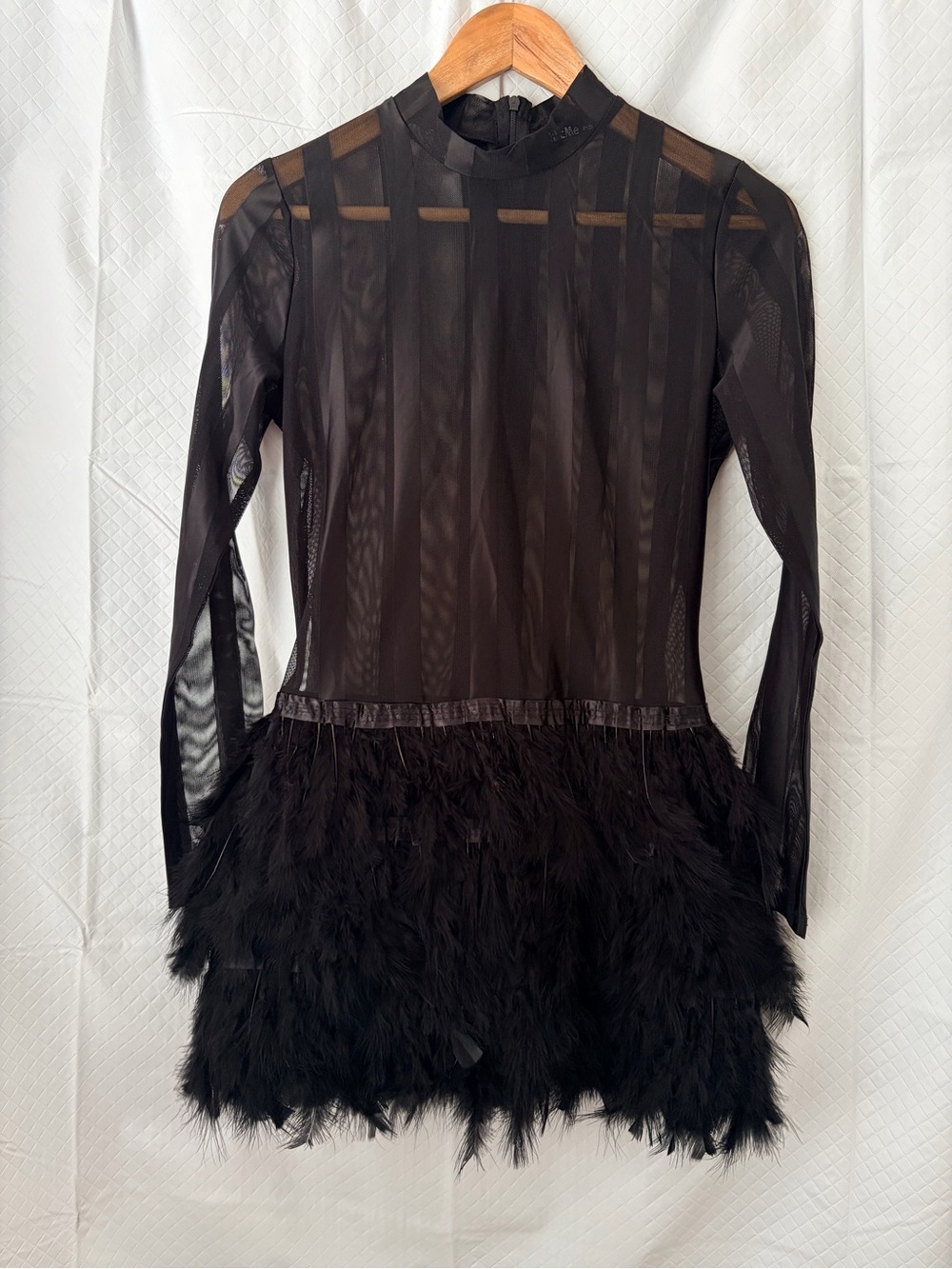 chic Black Sheer Long-Sleeve Feather-Trim Mini Dress